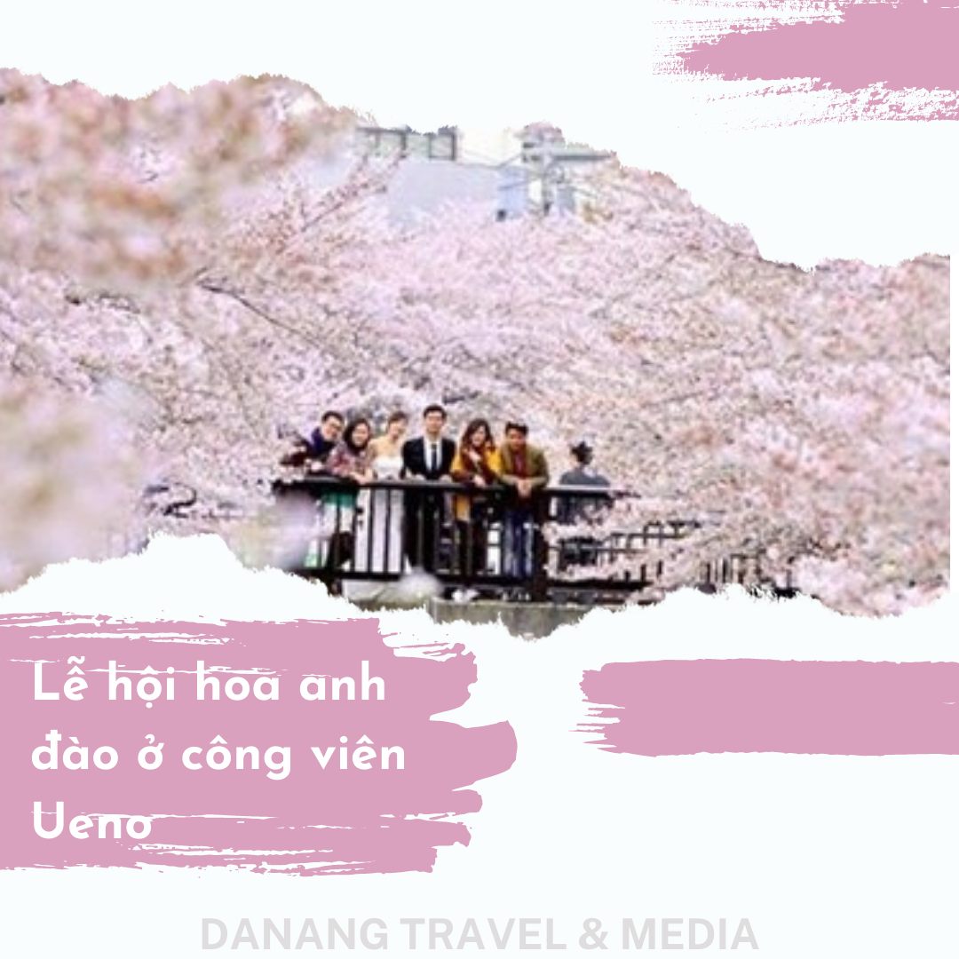 Lễ hội hoa anh đào ở công viên Ueno