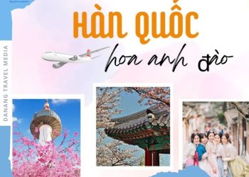 tour hàn quốc 2023